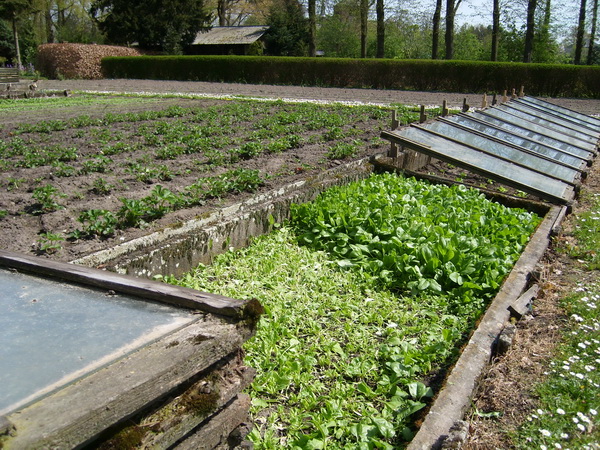 kloostertuin