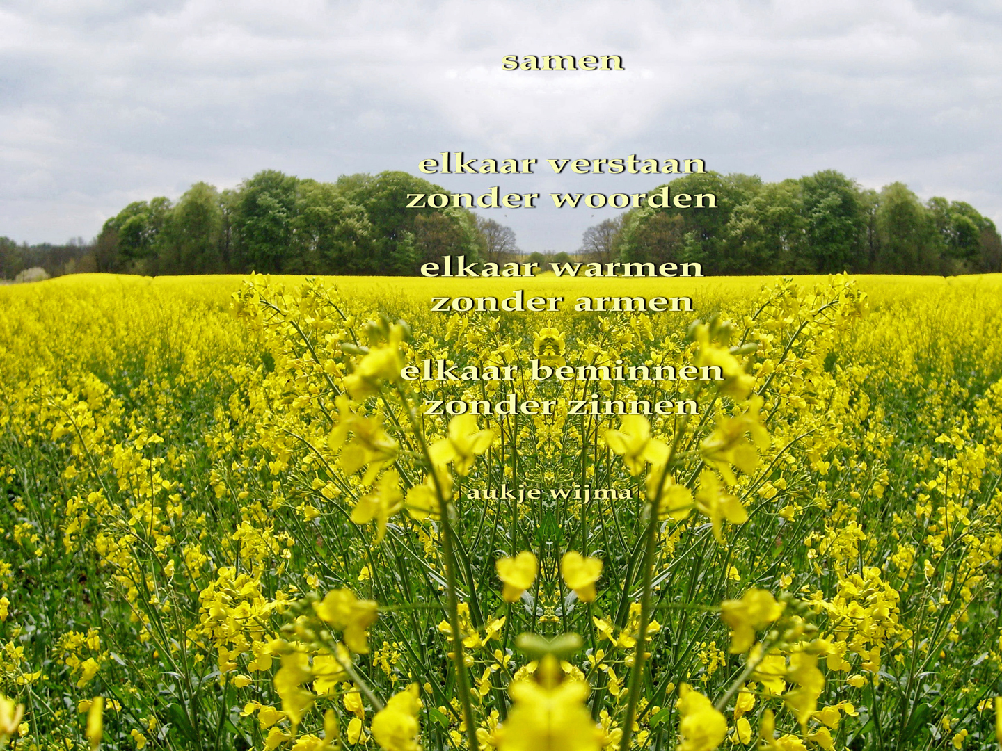 rugen paardebloemen